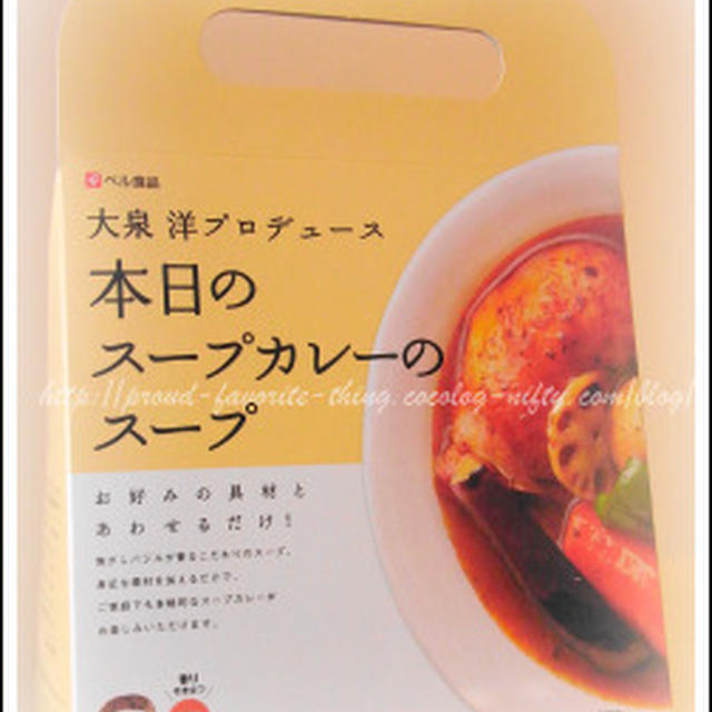 本日のスープカレー