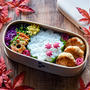 11/16 ささみ明太丸め焼きの花金弁当♪