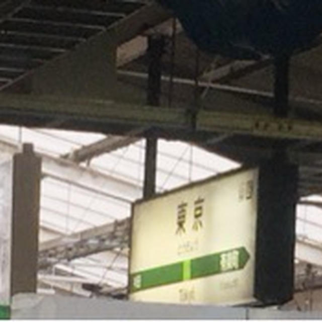 今、東京駅です。