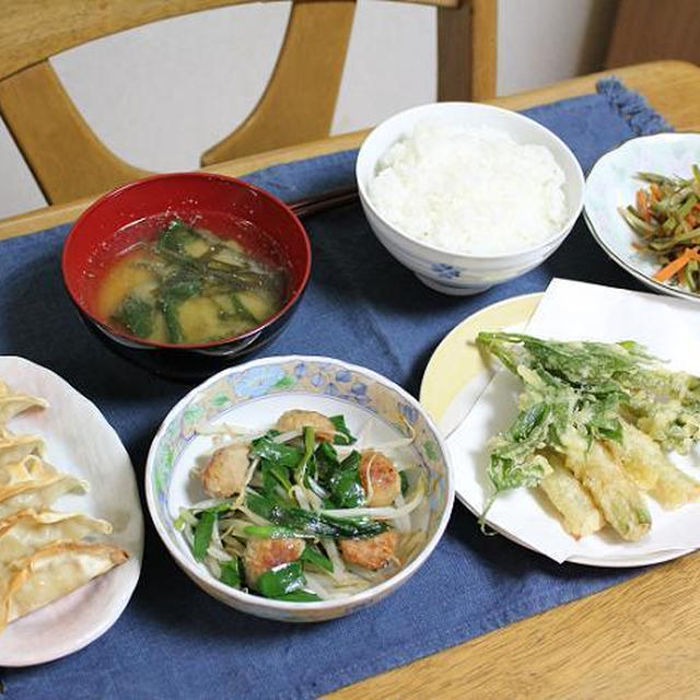 うどの天ぷらとニラともやしと鶏団子の炒めものとうどのきんぴらでうちごはん（レシピ付）