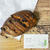 ＊boulangerie S.igarashi@清澄白河＊