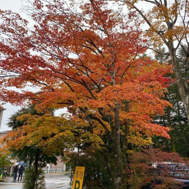 リベンジ軽井沢！