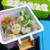手づかみ離乳食＊ベビーしゅうまい弁当♪