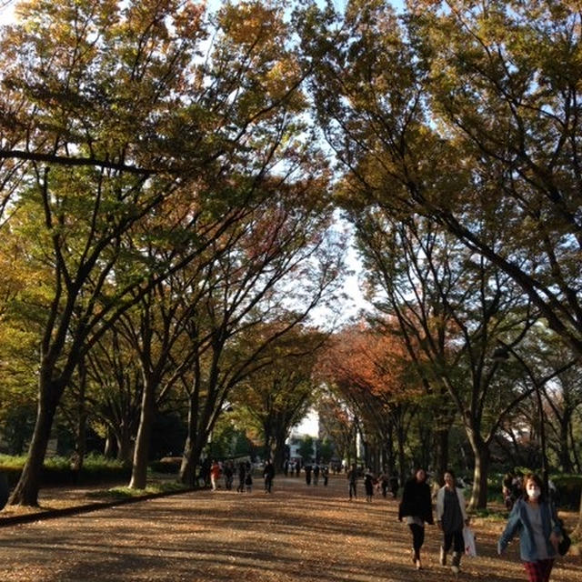 東京ラーメンショー２０１３