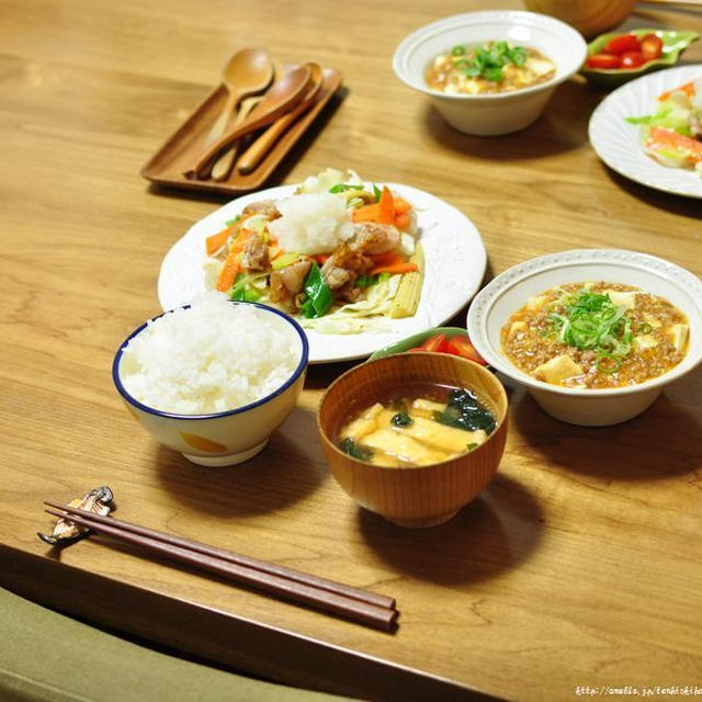 うちの野菜炒めとうちの麻婆豆腐、そして関西D会へピンポイント参加の巻