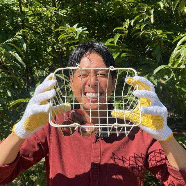 いもたこなんきん、秋のうまいもん