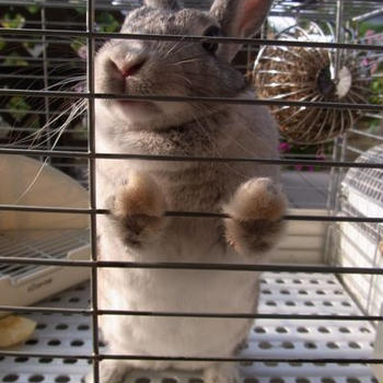 まるこの気持ち。