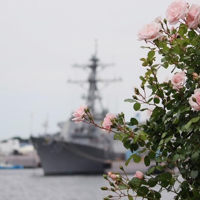 Yokosuka 軍港巡り