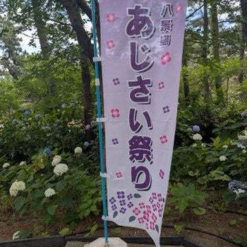 八景島　あじさい祭り