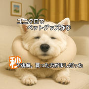 ユニクロで全部そろえた結果…犬もドン引きの大失敗