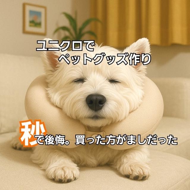 ユニクロで全部そろえた結果…犬もドン引きの大失敗