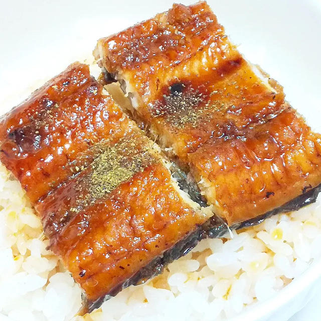 【ふるさと納税☆うなぎを食べたよ〜！】