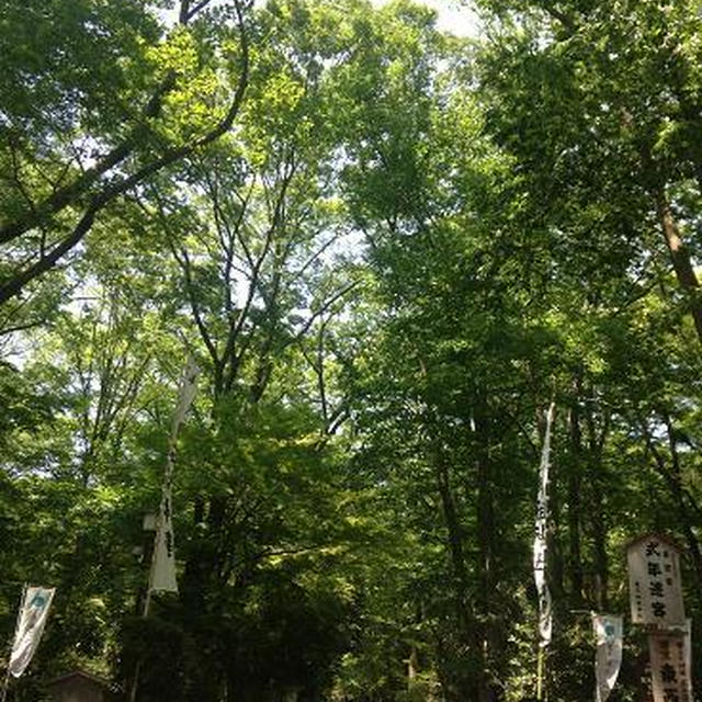 最高のパワースポットで最高のパワー頂きました！in 下鴨神社