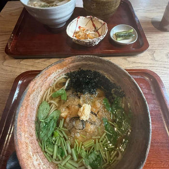 阪急逆瀬川駅近くのだしが美味しい蕎麦店　そば処　三佳（みよし）揚げ出しとろろにハマる！