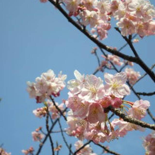 ２月の末に