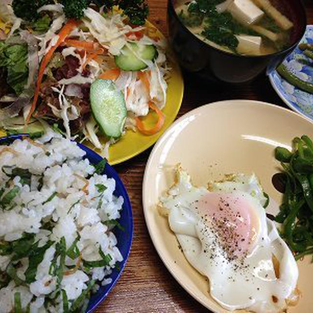 野菜たっぷりの朝ご飯。百日紅