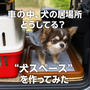 車旅で快適に！犬と一緒に過ごす“車内レイアウト”初挑戦