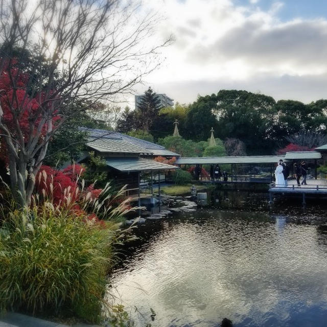 【白鳥庭園】 遅めの紅葉を見に行ってきました！前編　愛知県名古屋市熱田区