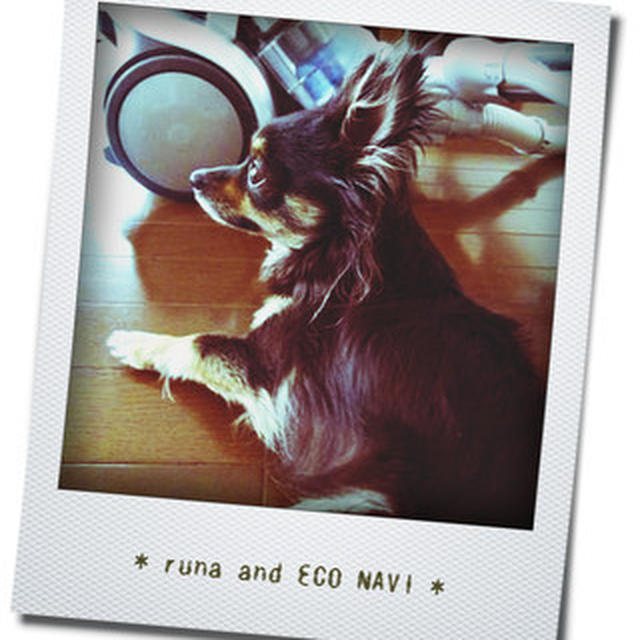【 続・ﾊﾟﾅｿﾆｯｸ掃除機 ECO NAVI 】