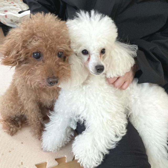 モコとしーちゃん︎︎︎︎❤︎︎︎︎︎❤︎︎︎︎︎❤︎5月も終わり