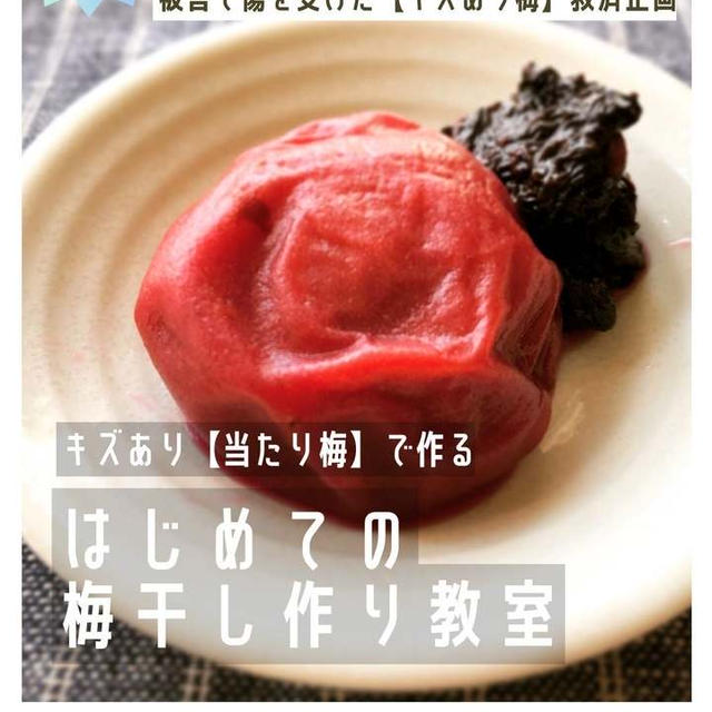 今年も開催決定！2025年【キズあり当たり梅】で作る 「はじめての梅干し作り教室」