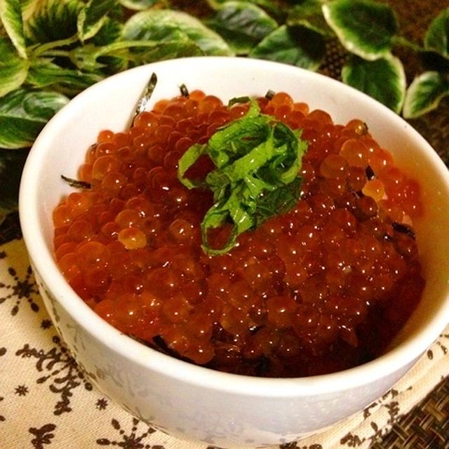 いくら丼♡と夜の最低男の物語。長編