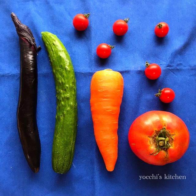 【保存版】野菜の保存〜なす、きゅうり、人参、トマト、ミニトマト〜