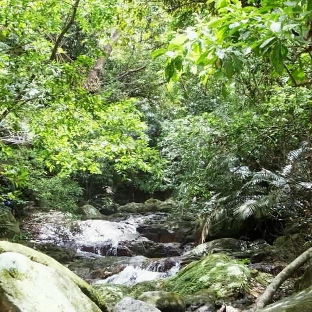 滝で水遊び☆レンチン豚