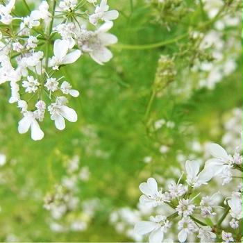 blog はじめました
