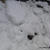 侮るなかれ、雪の脅威っ(-_★)！