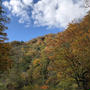 福井の紅葉スポット「刈込池」と富山の砺波市庄川温泉郷「三楽園」