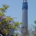 新旧？の下町コラボ