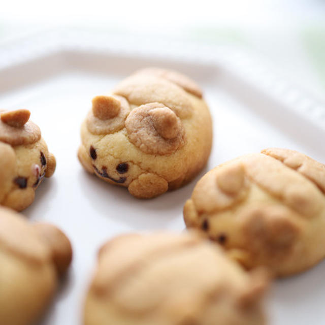 クッキー作りました☆ファットキャット