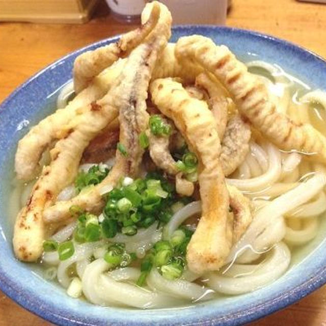 いか天うどん。きなこの手手ないないのポーズ
