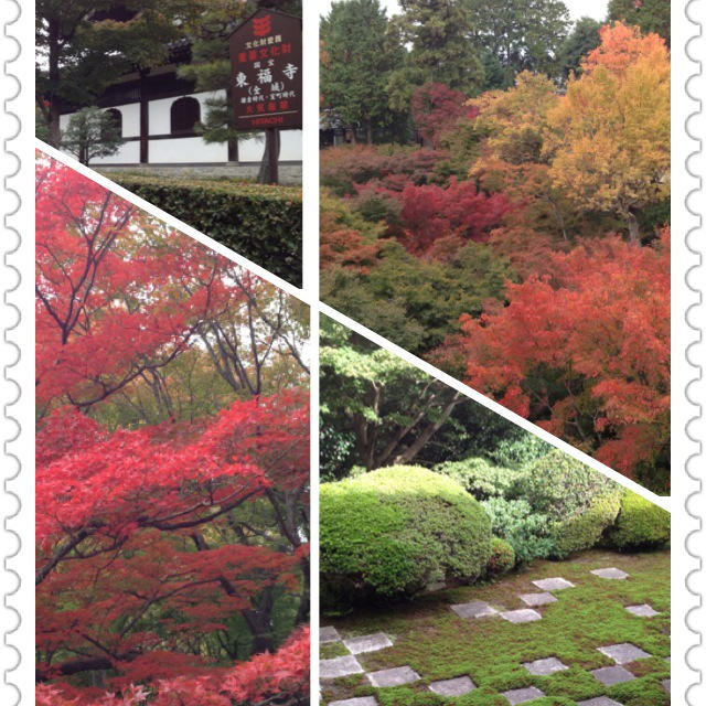 京都・東福寺☆まっ赤に染まる秋景色