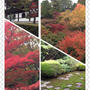 京都・東福寺☆まっ赤に染まる秋景色