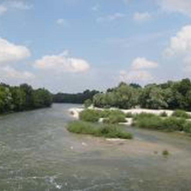 Sieben Tisch Wald