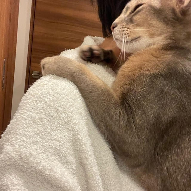 3年3ヶ月せんぱいの、かんろくの甘え