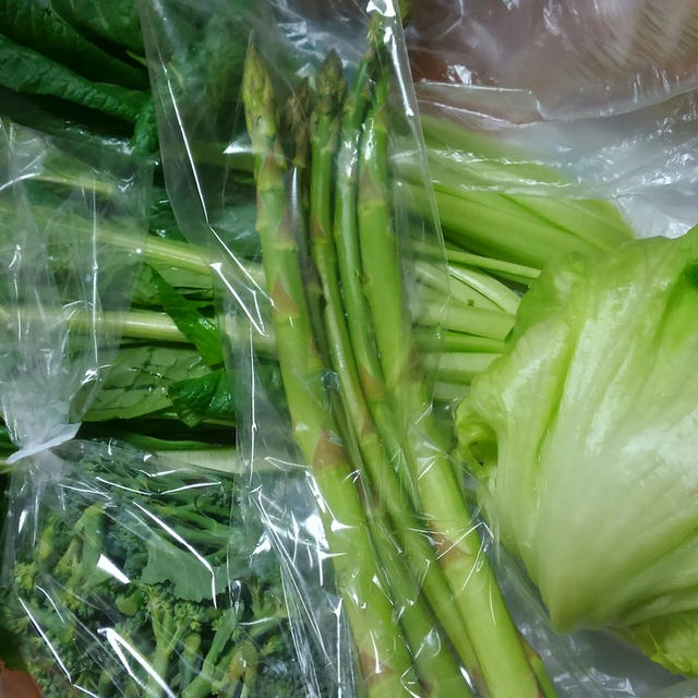 野菜を食べよう！！