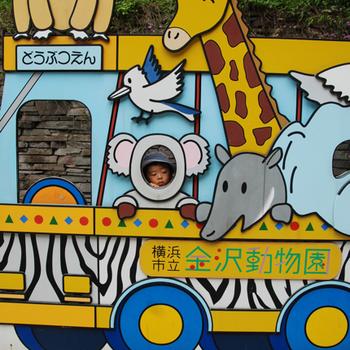 2歳児のエンターテイメント