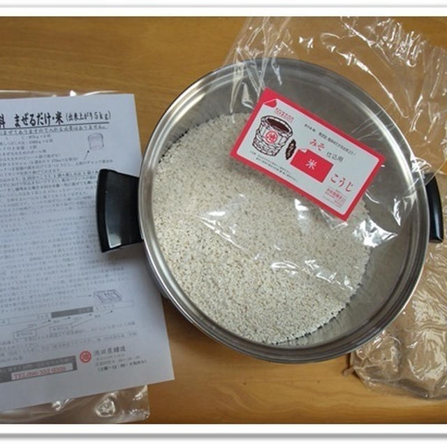 初めてのお味噌作り♪＆今年も梅シロップ♪
