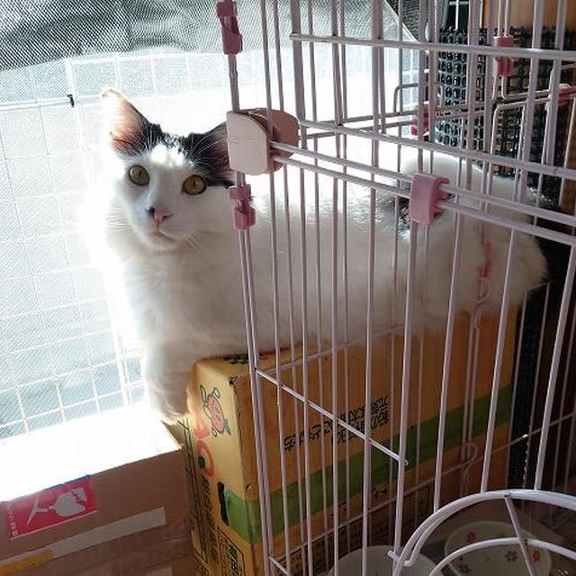 ポカポカを独り占め