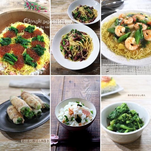 菜の花レシピ10選♡【#簡単レシピ#春野菜】