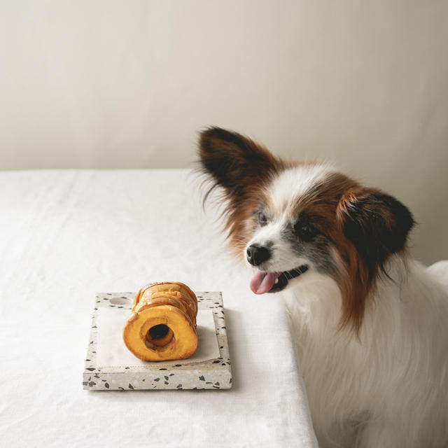 犬のおせちレシピ①蒸し器で作る、巻かない伊達巻き