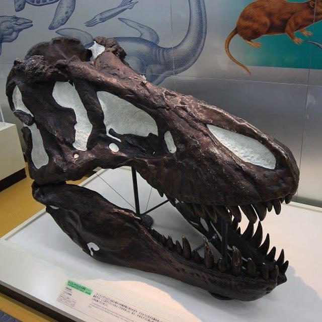 新潟県立自然科学館　恐竜さんもいっぱいいましたよ
