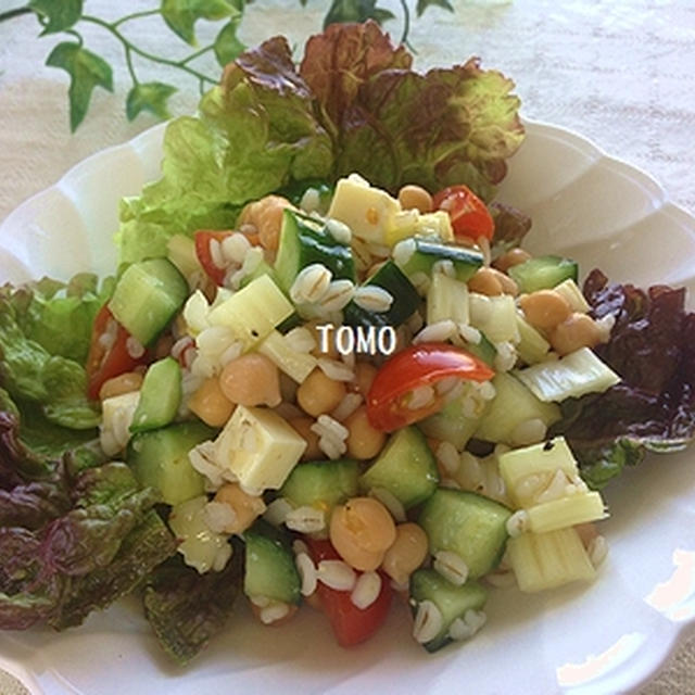 食物繊維たっぷり 押し麦とひよこ豆のサラダ By Tomo 柴犬プリン さん レシピブログ 料理ブログのレシピ満載