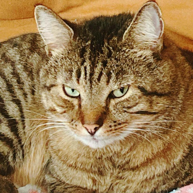オイラはバイ菌なの？