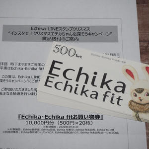 エチカちゃん マグカップ 非売品 当選品 懸賞 東京メトロ Echika www