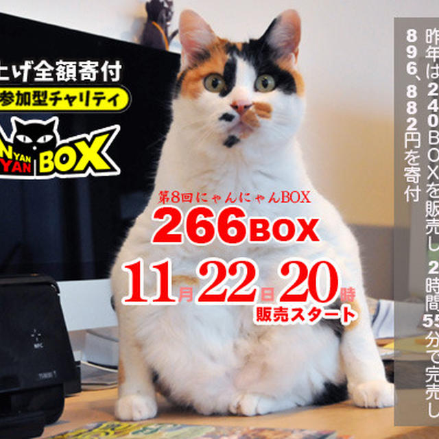 [転載]もうすぐ発売っ！＜第8回にゃんにゃんBOXの中身＞