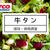 コストコの牛タンの値段★1枚いくら?最新の倉庫店価格調査・セール情報も紹介